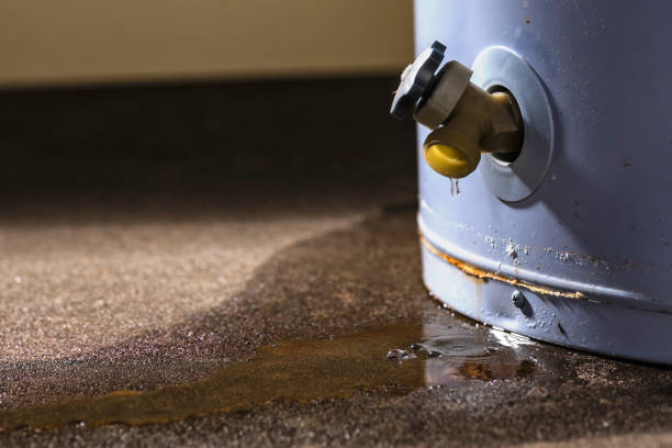 Best Flooded house restoration  in Surfside Beach, SC