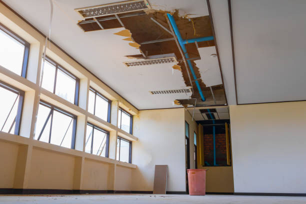 Best Ceiling water damage repair  in Surfside Beach, SC