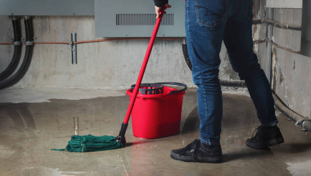 Best Water damage restoration specialists  in Surfside Beach, SC