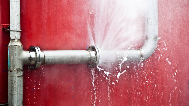 Best Professional water damage repair  in Surfside Beach, SC